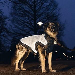  Beeztees Geacă reflectorizantă ALLIA Grey