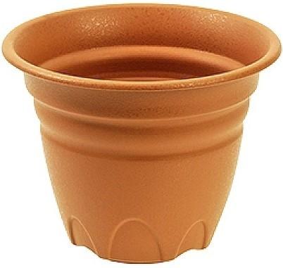  Tontarelli Tullipan (53657)