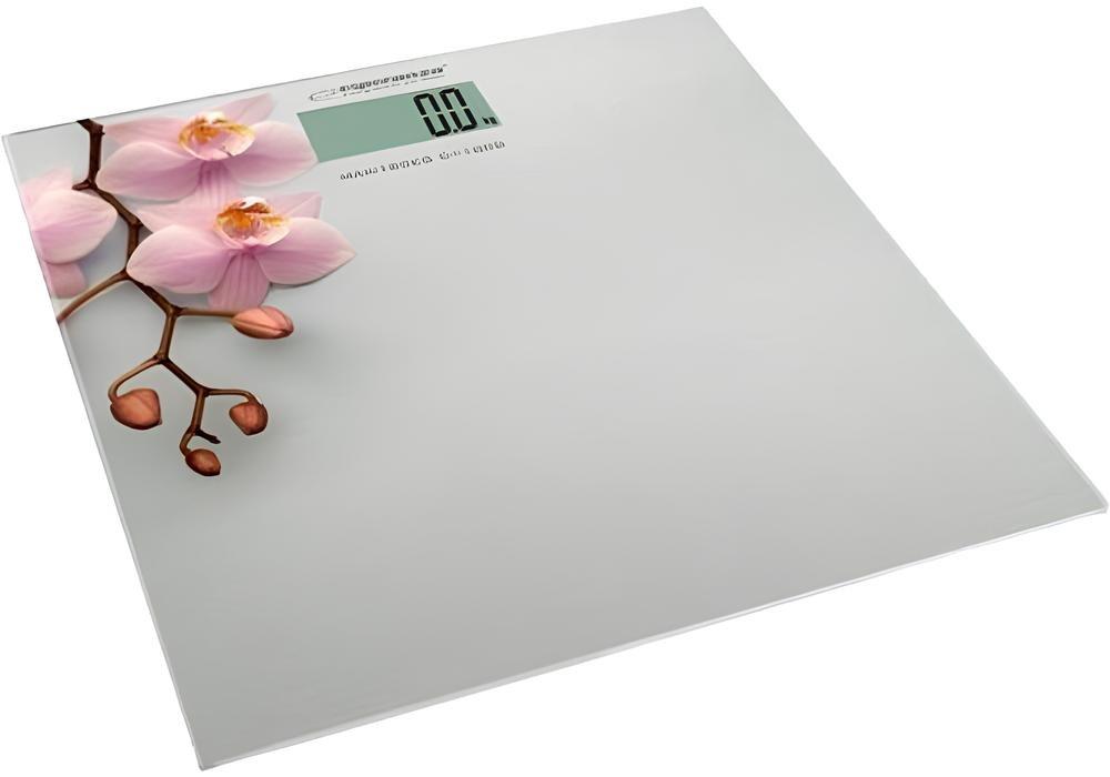 Cantar electronic Esperanza ORCHID EBS010