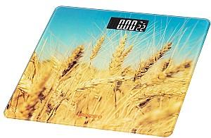 Cantar electronic Ardesto SCB-965WHEAT