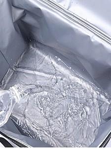 Geanta frigorifica 4Life AT41