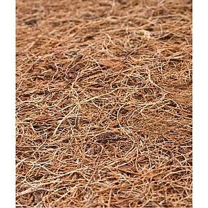 Saltea pentru copii Caretero Luxe Aloe Vera Buckwheat Foam Coconut