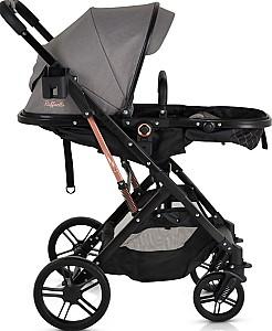 Carucior 2 in 1 Moni Raffaello Grey