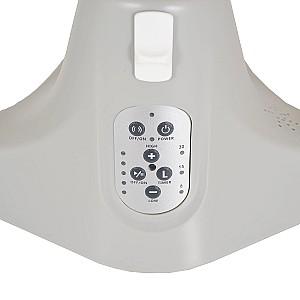 Leagan Moni Ari Bear Beige