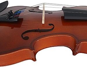 Vioara Flame  MV012 L 3/4