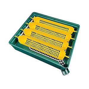 Incubator Demetra EU PROFI C-24