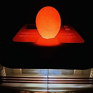 Incubator Demetra EU PROFI C-24