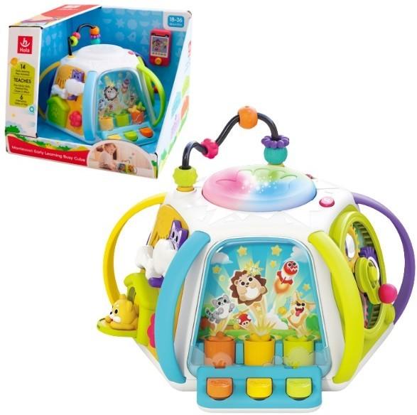Sortator Hola Toys Montessori HE8971