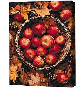 Tablou pe numere BrushMe Comorile lunii septembrie 40х50 cm (în cutie)