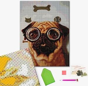 Pictura cu diamante BrushMe Testul de vedere al cățelușului, Lucia Heffernan 40*50 сm (fără cutie)