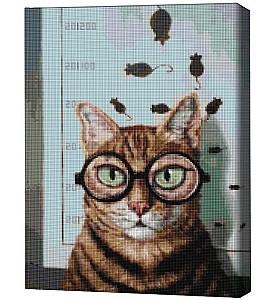 Pictura cu diamante BrushMe Testul de vedere al pisicuței, Lucia Heffernan 40*50 сm (fără cutie)