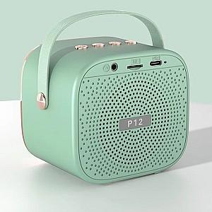 Jucarie muzicala Essa Toys DN12053