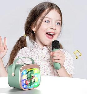 Jucarie muzicala Essa Toys DN12053