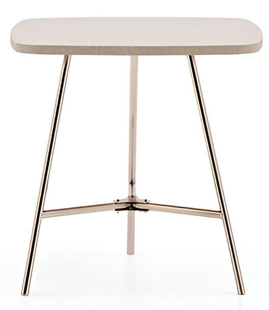 Masuta de cafea, reviste Dogtas BRITA 498mm