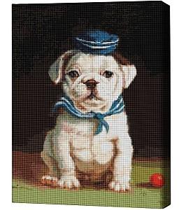 Pictura cu diamante BrushMe Bulldog, Lucia Heffernan 40*50 сm (fără cutie)