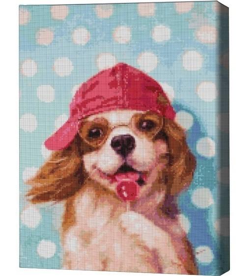 Pictura cu diamante BrushMe Cățeluș cu acadea, Lucia Heffernan 40*50 сm (fără cutie)