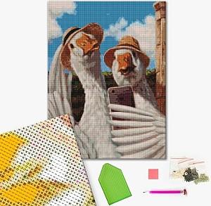 Pictura cu diamante BrushMe Selfie cu gâște, Lucia Heffernan 40*50 сm (fără cutie)