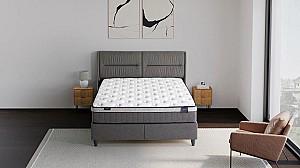 Pat Dogtas Lova PALMON 160x200