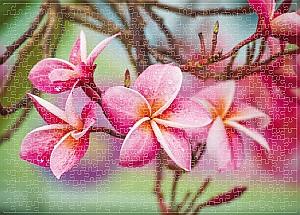 Puzzle Noriel NOR2921