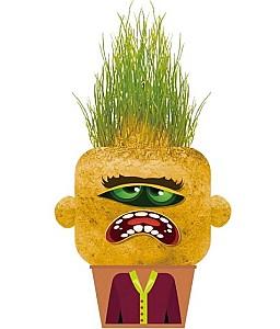 Jucarie interactiva Hape Grădinarul Monstru Capricios cu iarbă – Mary (848103)