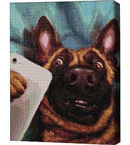 Pictura cu diamante BrushMe Selfie Charlie, Lucia Heffernan 40*50 сm (fără cutie)