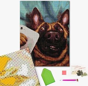 Pictura cu diamante BrushMe Selfie Charlie, Lucia Heffernan 40*50 сm (fără cutie)