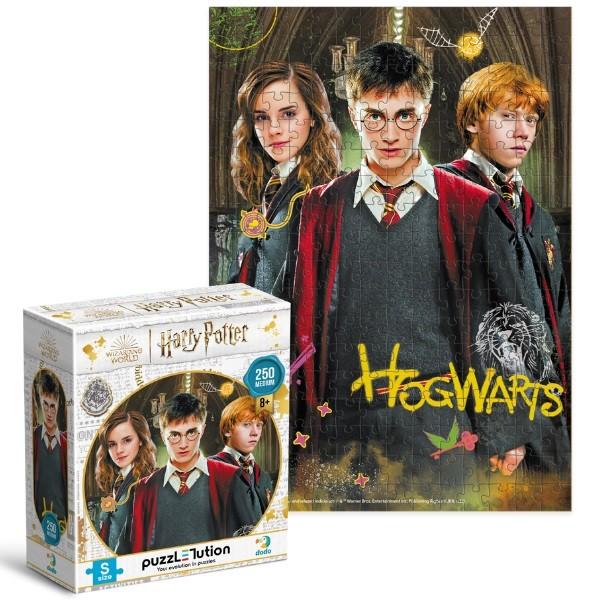 Puzzle Dodo Harry și prieteni, seria Harry Potter (200498)