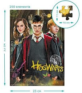 Puzzle Dodo Harry și prieteni, seria Harry Potter (200498)