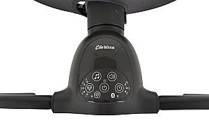 Leagan Moni Clarissa Green