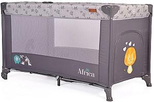 Manej Moni Africa Grey