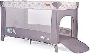 Manej Moni Africa Grey