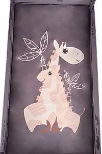 Manej Moni Africa Grey