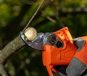 Foarfece de vie DAEWOO DAGP 2516Li SET 16V 3Ah