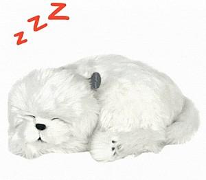 Jucarie interactiva Perfect Petzzz Maltez 91-31