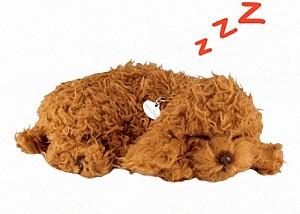 Jucarie interactiva Perfect Petzzz Toy Pudel 91-40