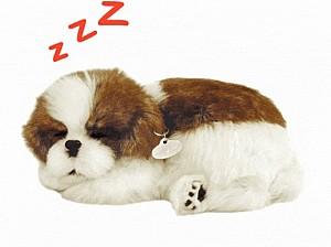 Jucarie interactiva Perfect Petzzz Shih Tzu 91-19