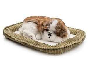 Jucarie interactiva Perfect Petzzz Shih Tzu 91-19