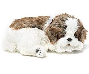 Jucarie interactiva Perfect Petzzz Shih Tzu 91-19