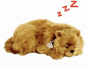 Jucarie interactiva Perfect Petzzz Pomeranian 91-21