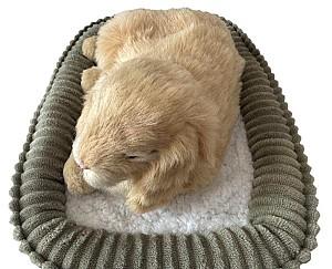 Jucarie interactiva Perfect Petzzz Minilop 99-11