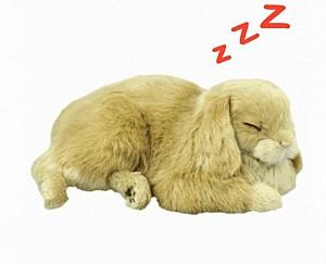 Jucarie interactiva Perfect Petzzz Minilop 99-11