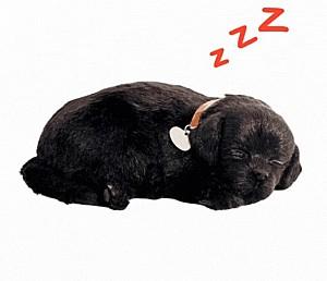 Jucarie interactiva Perfect Petzzz Labrador negru 91-22