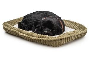Jucarie interactiva Perfect Petzzz Labrador negru 91-22