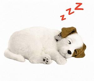 Jucarie interactiva Perfect Petzzz Jack Russell Terrier 91-24