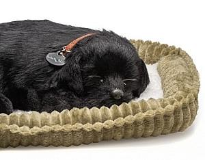 Jucarie interactiva Perfect Petzzz Labrador negru 91-22