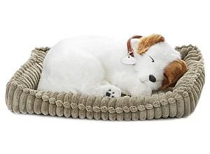 Jucarie interactiva Perfect Petzzz Jack Russell Terrier 91-24