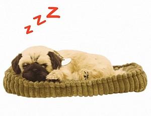 Jucarie interactiva Perfect Petzzz Mops 91-09