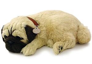 Jucarie interactiva Perfect Petzzz Mops 91-09