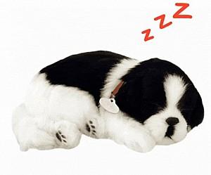 Jucarie interactiva Perfect Petzzz Border Collie 91-01