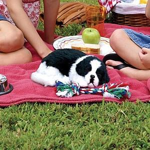 Jucarie interactiva Perfect Petzzz Border Collie 91-01